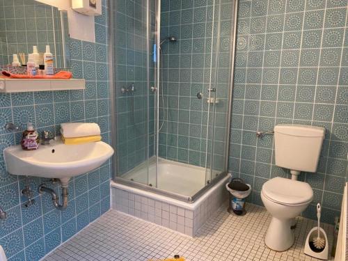 ein Bad mit einem WC, einer Dusche und einem Waschbecken in der Unterkunft Altstadthaus zur Weide in Heiligenhafen