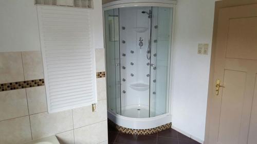 um chuveiro com uma porta de vidro na casa de banho em Ferienwohnung "Am Vaterlandsgrubenweg" em Oelsnitz