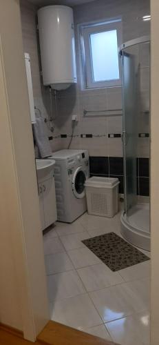 uma casa de banho com uma máquina de lavar roupa e uma cabina de duche em vidro. em Apartman Andjela em Sokobanja