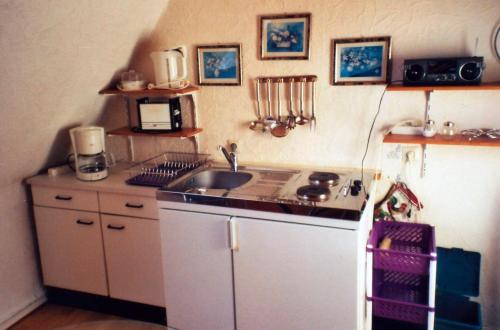 eine Küche mit einer Spüle und einer Arbeitsplatte in der Unterkunft Mündlein in Eckernförde