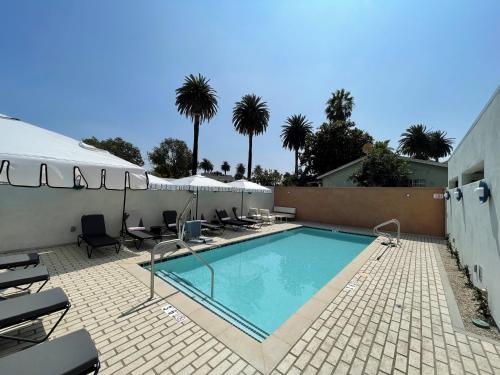 een groot zwembad met stoelen en palmbomen bij Alsace LA in Los Angeles