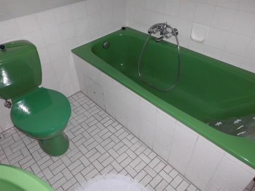 a bathroom with a green toilet and a green bath tub at FeWo Vobbe in Dänischenhagen