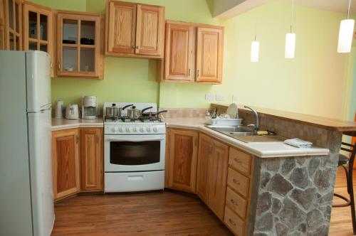 a kitchen with wooden cabinets and a white stove top oven at Diamond View Cottages in Roseau