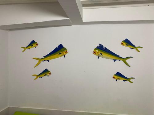 a group of fish on a white wall at Fuentes House in San Andrés
