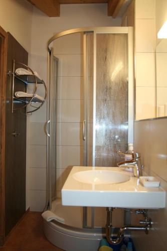 a bathroom with a sink and a shower at Riederstein Nr 8 in Bad Wiessee