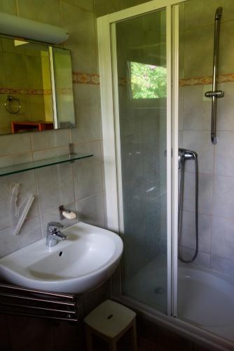 een badkamer met een wastafel en een douche bij Ferienwohnung Neupert in Nübbel
