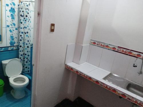 a small bathroom with a toilet and a sink at La Esquina de Doña Julia in Lima