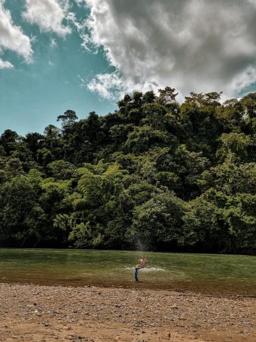 a person is flying a kite in front of a forest at Refugio Monte Oscuro in Las Mercedes