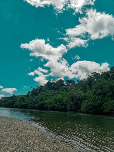 a river with trees and a blue sky with clouds at Refugio Monte Oscuro in Las Mercedes
