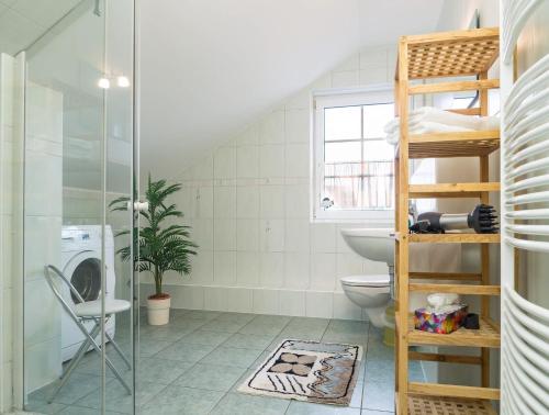 a bathroom with a toilet and a glass shower at Birkenstraße 7 Whg 6 in Zingst