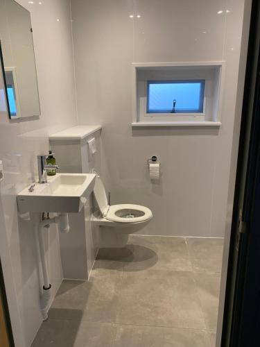 a bathroom with a toilet and a sink and a window at Benbijdokkum in Driesum