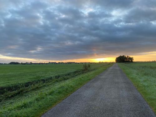 a road in the middle of a field at sunset at Benbijdokkum in Driesum
