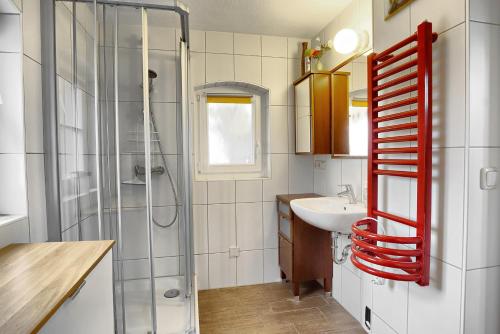 a bathroom with a shower and a sink at Remise in Zingst
