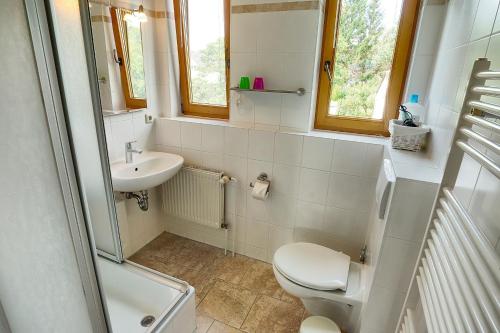 a bathroom with a toilet and a sink at Haus Sonnenwinkel, FW 2 in Zingst