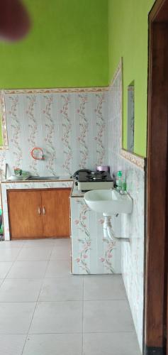 a bathroom with a white sink and green walls at mas dylan homestay in Bromo