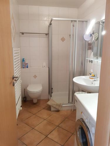 a bathroom with a shower and a toilet and a sink at FeWo Lena in Hanerau-Hademarschen