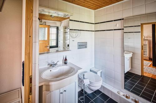 a bathroom with a sink and a toilet at Ferienhaus Hygge in Kappeln