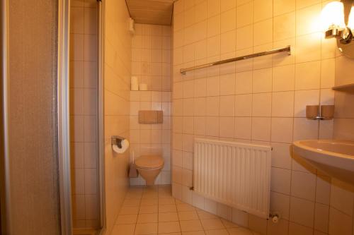 La salle de bains est pourvue de toilettes et d'un lavabo. dans l'établissement Christof,s Ferienwohnung WILD230, à Oberau