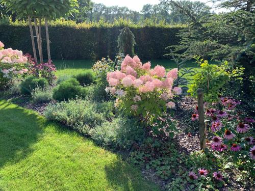 a garden with pink flowers and other plants at Studiový apartmán V Zahradě in Police nad Metují
