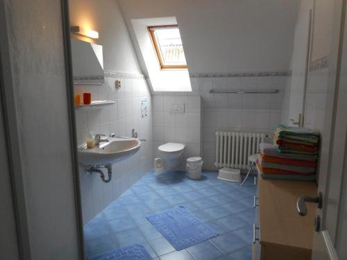 a small bathroom with a sink and a toilet at Ferienhof Bisdorf "Steilküste" in Bisdorf