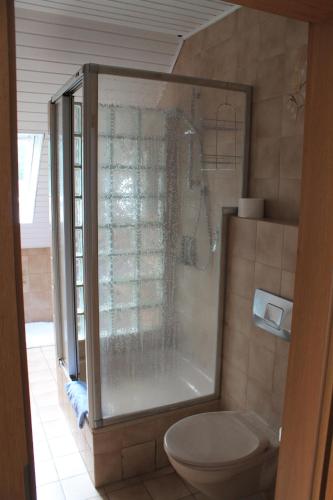 a bathroom with a shower and a toilet at Hotel Restaurant Neu-Holland in Kassel