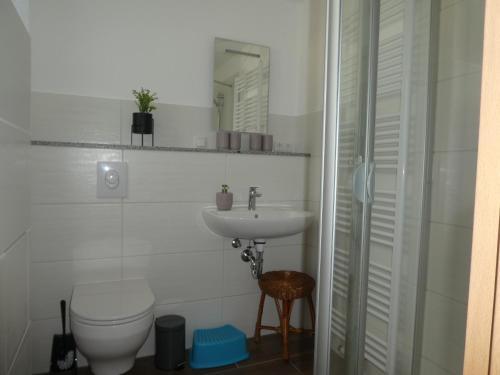 a bathroom with a toilet and a sink at Ferienwohnung Dorfblick in Kössern