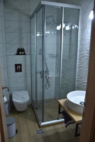 a bathroom with a shower and a toilet and a sink at NUCA GUESTHOUSE in Metsovo