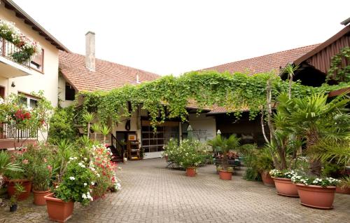 um pátio com um monte de plantas e flores em Weingut und Gästehaus Vongerichten em Oberhausen