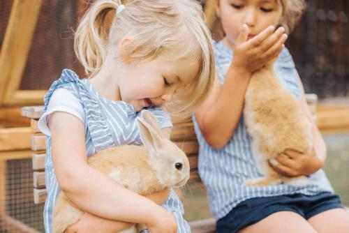 a little girl holding a rabbit and another little girl holding a rabbit at Appartements Wieshof in Sankt Johann im Pongau