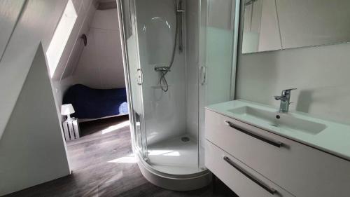 une salle de bain avec douche et lavabo dans l'établissement Domaine de Bagnegrole, à Saint-Cyprien