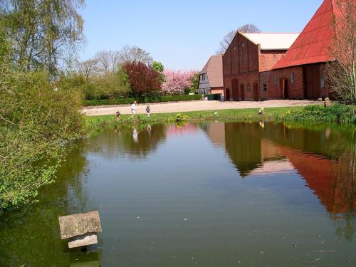 a large pond in front of a building with a red roof at Ferienwohnung "Möwennest" in Hinrichsdorf