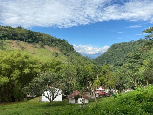 a house in the middle of a hill with trees at Eco Hotel Entre Ríos in Villeta