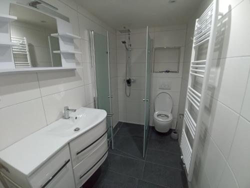 een badkamer met een wastafel, een douche en een toilet bij Ferienwohnung zum Hirschgrund in Schöna