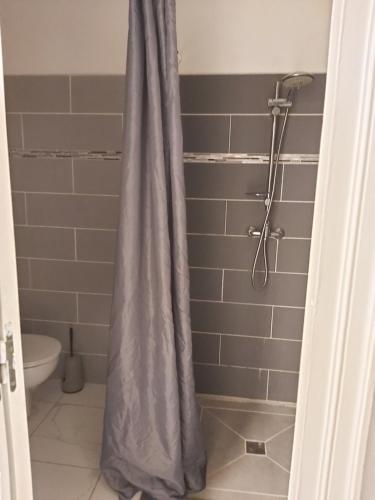 a shower with a shower curtain in a bathroom at ANSE DES ROCHERS St François CORAIL 306 in Saint-François
