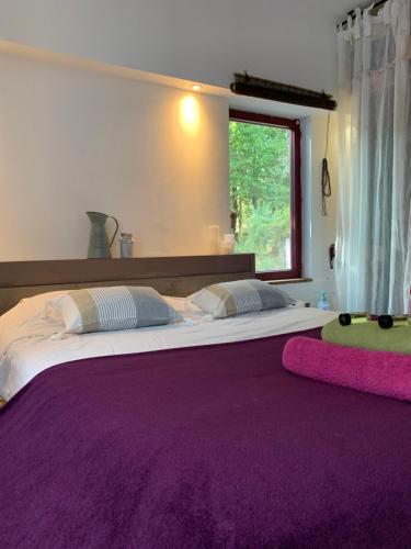 Un dormitorio con una cama grande con sábanas moradas y una ventana en Hacienda de la Canopée avec piscine chauffée au sel, en Hourtin