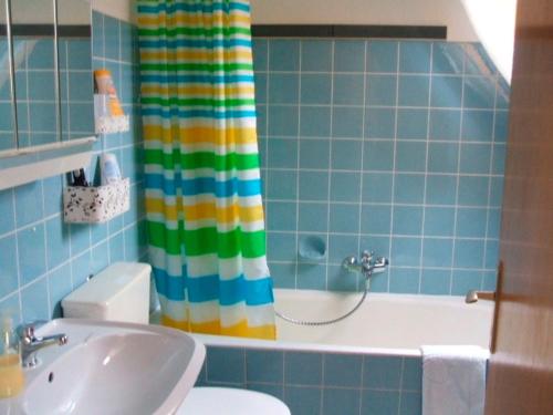 łazienka z zasłoną prysznicową, toaletą i umywalką w obiekcie Frauke Bruhn w mieście Fockbek