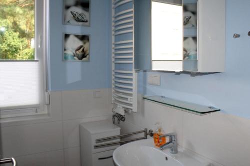 a bathroom with a sink and a mirror and a window at Seeschwalbe App 34 in Dierhagen