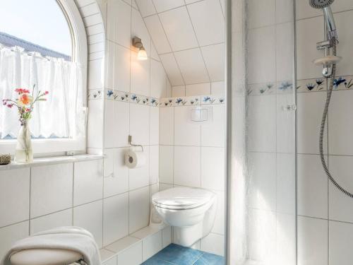 a white bathroom with a toilet and a shower at Seenest Appartement 3 in Zingst