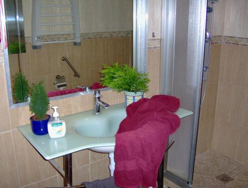 uma casa de banho com um lavatório e um chuveiro com uma toalha roxa em Günstiges Apartment an der Straße em Icod de los Vinos