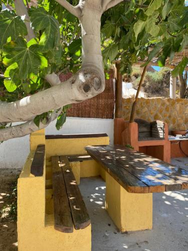 a wooden bench sitting next to a tree at Cuevas Uropia in Graena