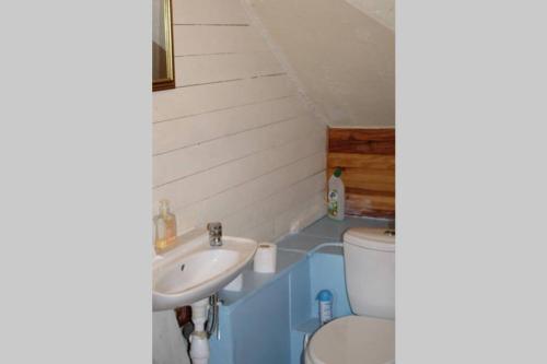 un bagno con un water e un lavandino di Bras D’Or Rural Gite cottage by farms & lakes. a Bais