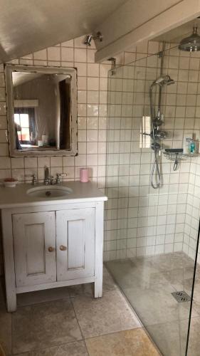 une salle de bain avec un lavabo et un miroir dans l'établissement La duvallerie chambre d hôte, à Cangey