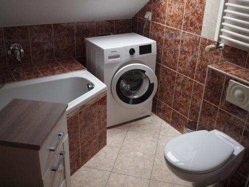 ein Badezimmer mit einer Waschmaschine und einem WC in der Unterkunft Attraktive FeWo in Rosenthal am Rennsteig in Neundorf