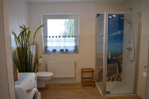baño con ducha y aseo y ventana en Fewo im Kastania Nr19, en Petersdorf auf Fehmarn