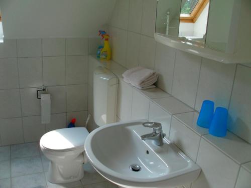 a white bathroom with a toilet and a sink at DAT OLE FISCHERHUS - App 2 in Heiligenhafen