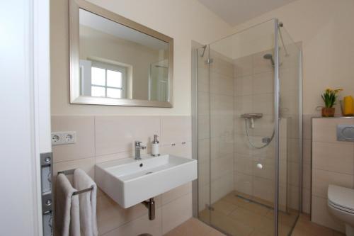 een badkamer met een wastafel en een douche bij Herrmannshof Haby App 1 Arnis in Haby