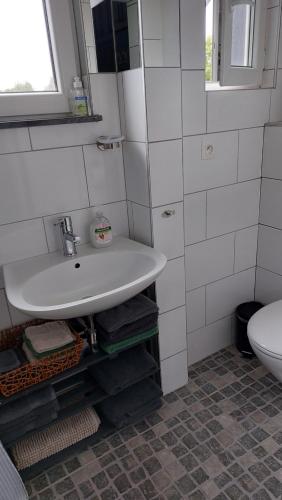 y baño con lavabo blanco y aseo. en De Distel, en Ostende