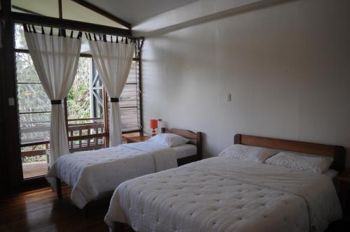 a bedroom with two beds and a large window at Estación Biológica Las Cruces y Jardín Botánico Wilson in San Vito