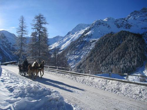a group of people riding horses on a snow covered road at Hotel-Pension Waldeck in Todtmoos