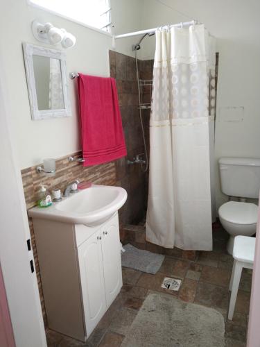 uma casa de banho com um lavatório, um WC e um chuveiro em Departamento en Luis Guillon em Luis Guillón
